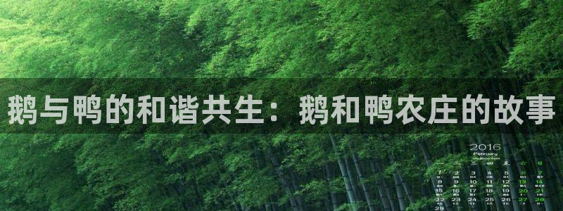 娱乐从琳琅榜开始笔趣阁：鹅与鸭的和谐共生：鹅和鸭农庄的故事