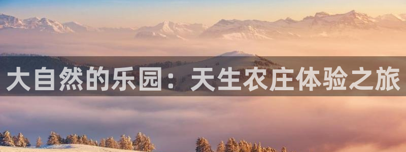 琳琅娱乐注册登录不了