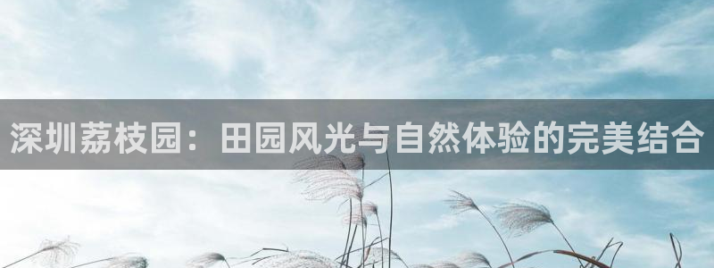 琳琅娱乐总代