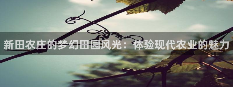 琳琅娱乐代理怎么做