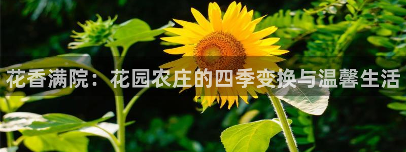 琳琅娱乐前7O777