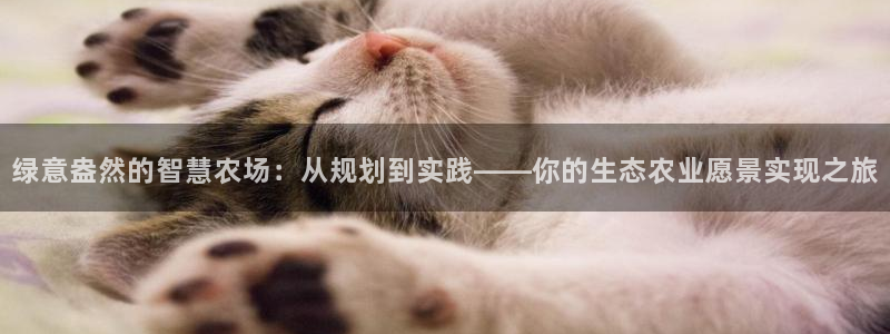 琳琅娱乐工作室地址
