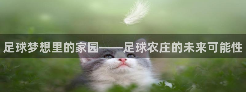 琳琅娱乐在哪直播