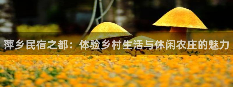琳琅娱乐平台怎么样啊