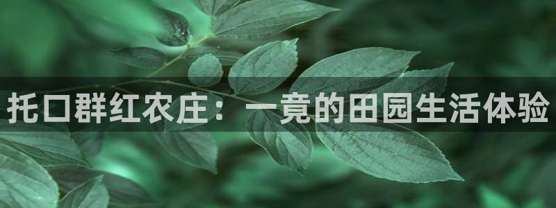 琳琅科技娱乐QQ机器人