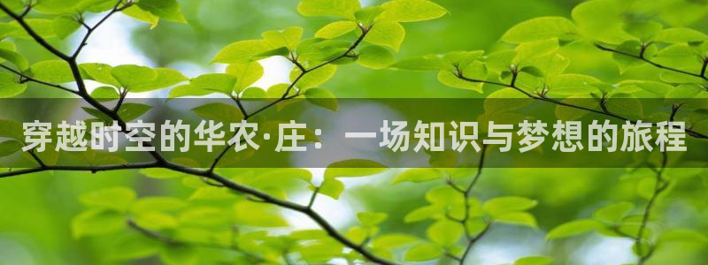 琅琳琅娱乐社区