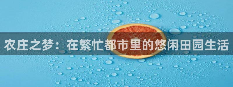 琳琅科技娱乐机器人教程