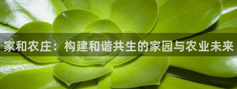 琳琅娱乐在哪直播