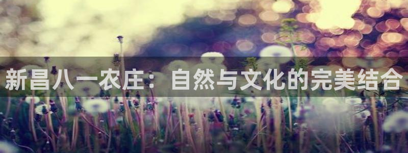 琳琅娱乐平台帐7O777