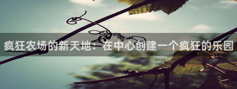琳琅娱乐在哪直播的