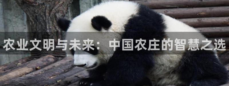 琳琅娱乐工作室