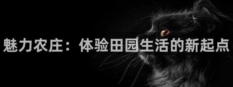 琳琅国际娱乐会所怎么样
