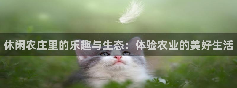 琳琅国际娱乐会所怎么样