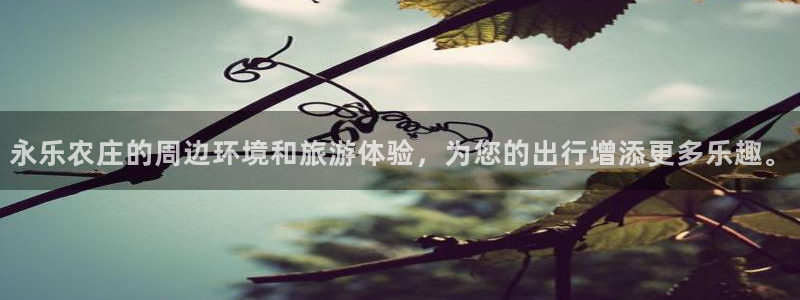 琳琅娱乐