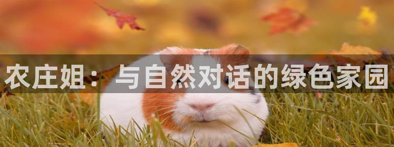 琳琅娱乐平台