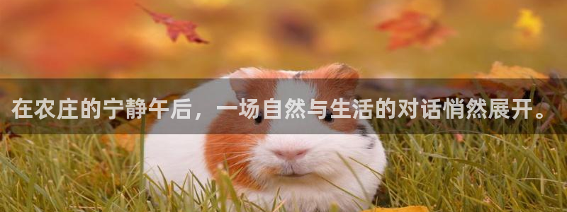 琳琅娱乐在线注册