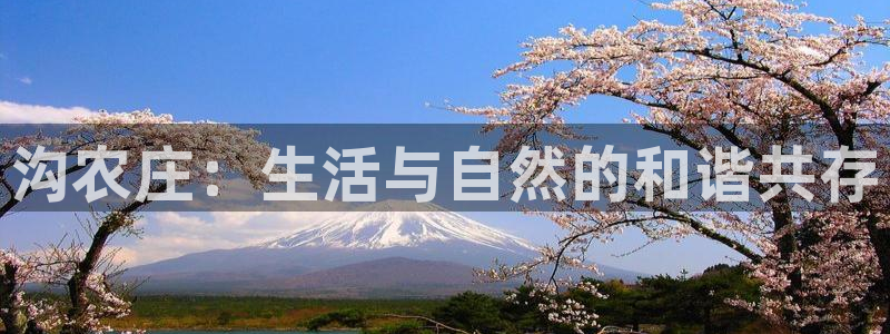 琳琅娱乐a