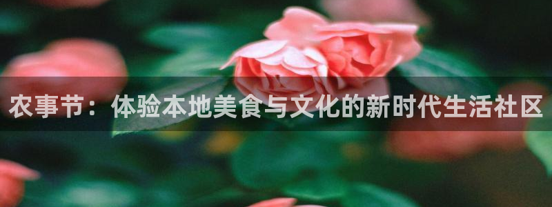 琳琅娱乐平台怎么样知乎