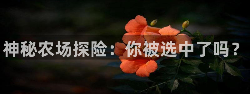 琳琅娱乐直播