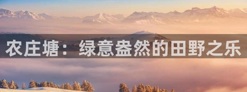琳琅说娱乐