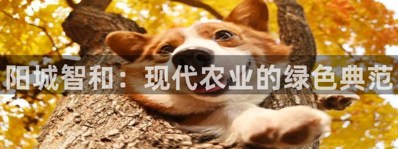 琳琅娱乐领先33300
