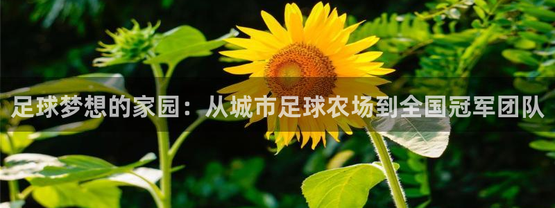 琳琅QQ娱乐机器人