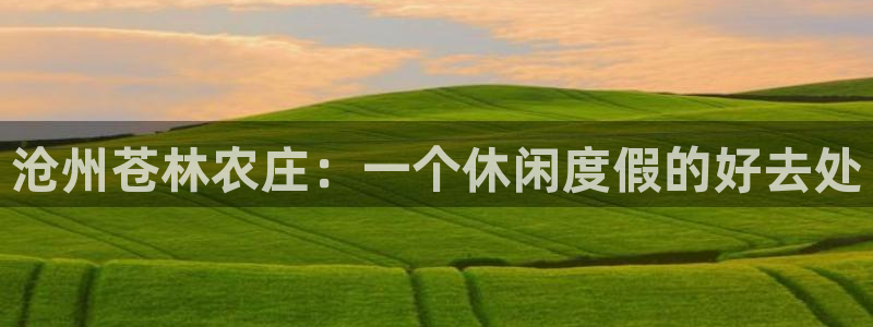 qq飞车琳琅娱乐组