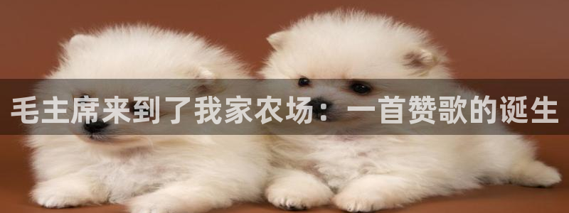 琳琅娱乐前7O777