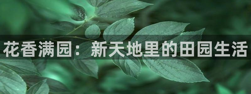 琳琅科技娱乐机器