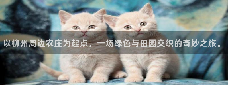 琳琅娱乐工作室怎么样啊