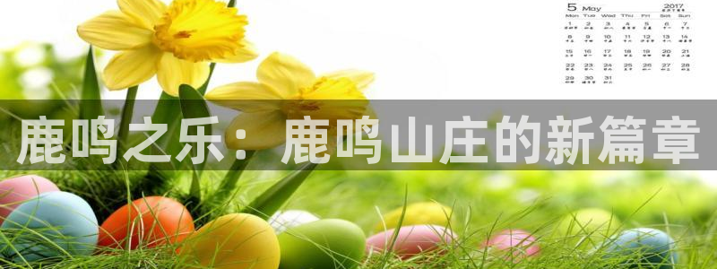 琳琅说娱乐