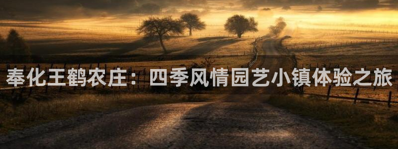 琳琅娱乐工作室招聘条件
