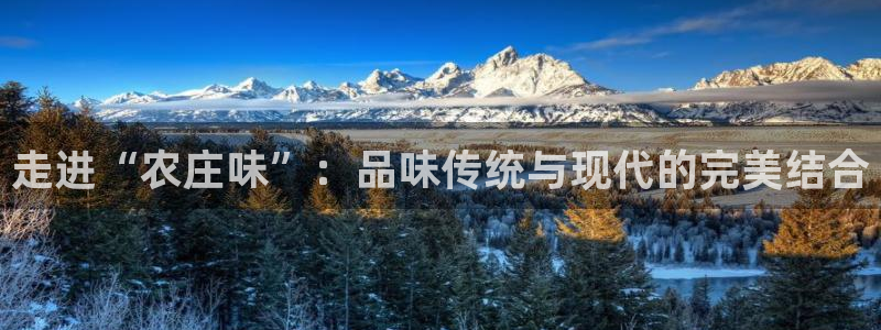杭州琳琅互动娱乐