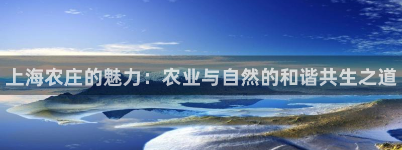琳琅娱乐工作室招聘条件