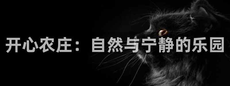 琳琅娱乐招商注册