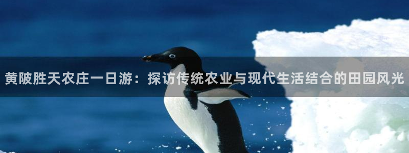 琅琳琅娱乐社区