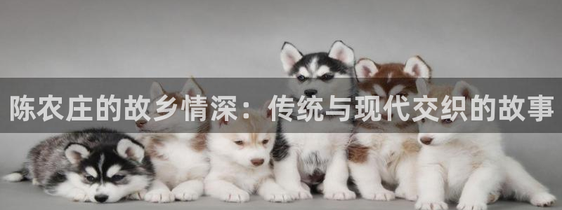 琳琅娱乐平台是真的吗