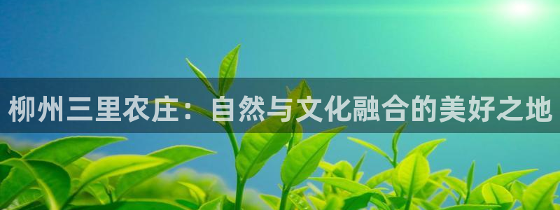 琳琅娱乐代理人是谁