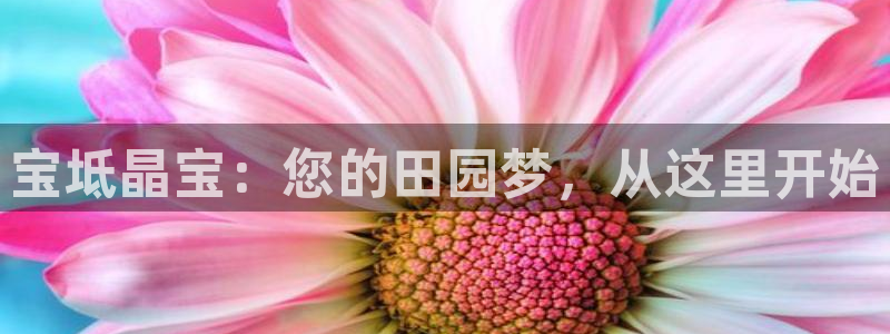 琳琅娱乐园