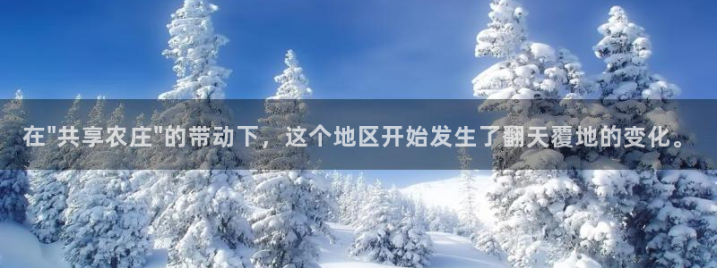 琳琅娱乐 全麦优质