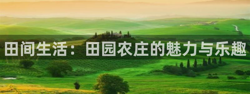 琳琅聊娱乐