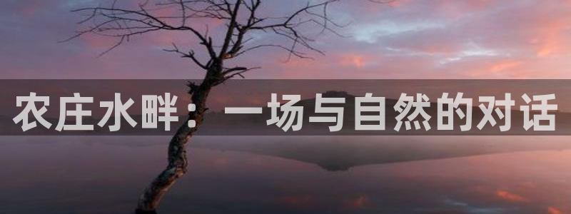 琳琅说娱乐
