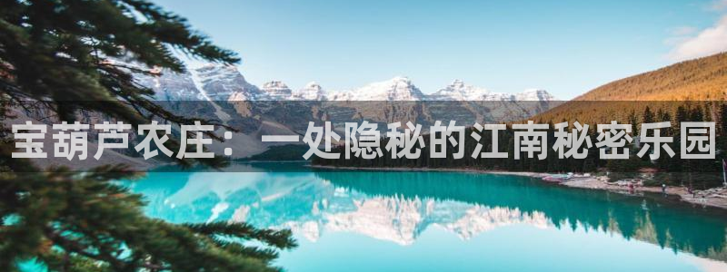 琳琅娱乐直播