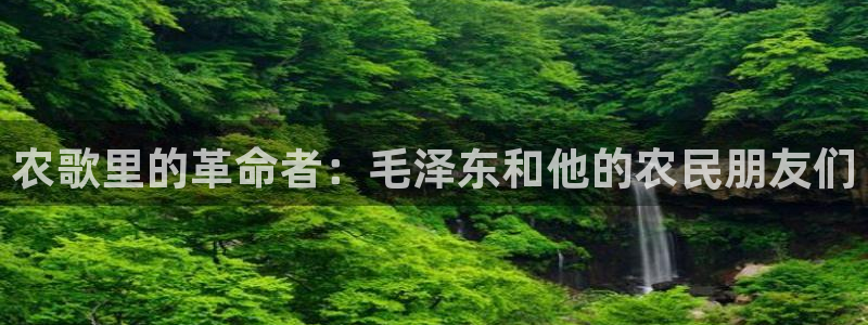 琳琅娱乐 全麦优质