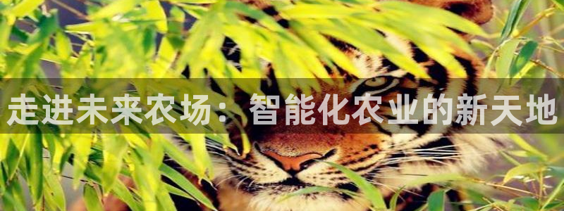 琳琅娱乐网