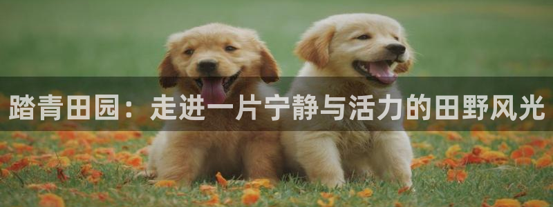 琳琅谈娱乐