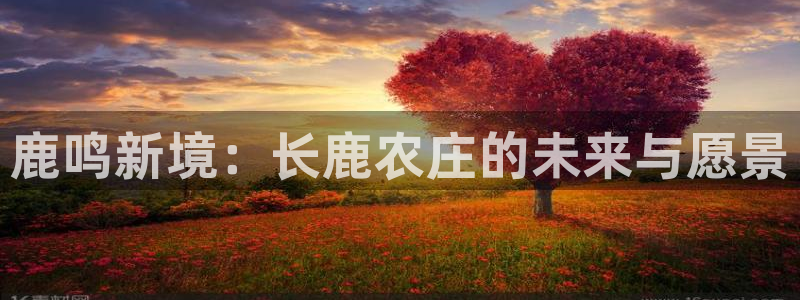 琳琅科技娱乐机器人