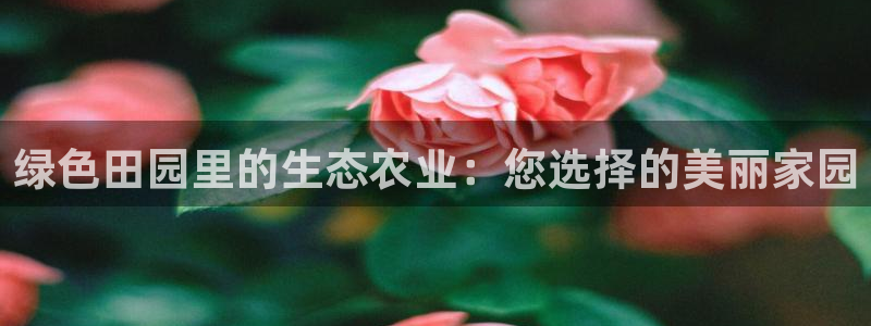 琳琅天上qq飞车娱乐