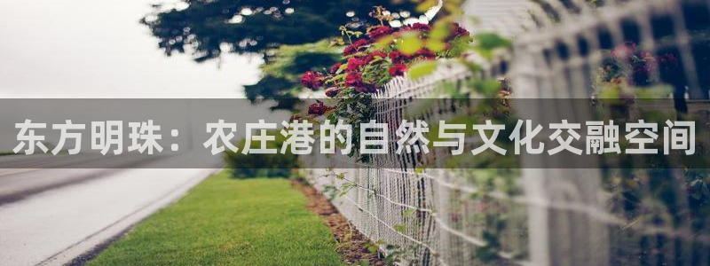 琳琅科技娱乐QQ机器人