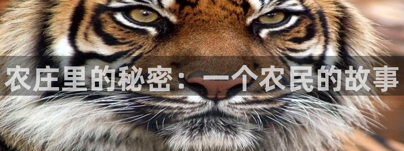琳琅娱乐社区宅男